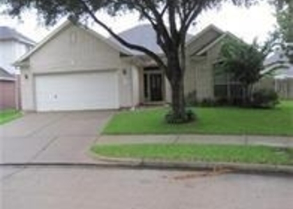 2715 Falling Forest Court - Photo 1