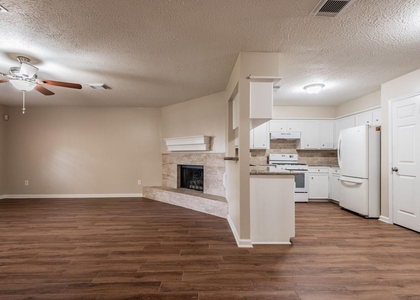 1007 Cascade Creek Drive - Photo 1