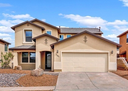7341 Autumn Sage Drive - Photo 1
