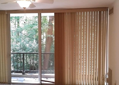 4360 Ivymount Court - Photo 1