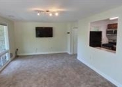 541 Wilson Bridge Drive - Photo 1
