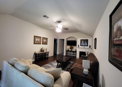 10739 Chestnut Path Way - Photo 1