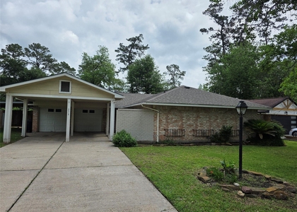 3414 Bristlecone Trail - Photo 1