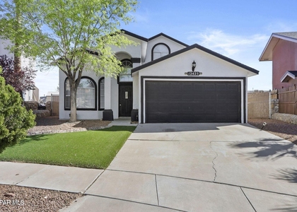 12425 Red Sun Drive - Photo 1