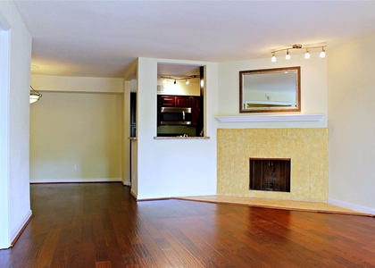 4635 Wild Indigo Street - Photo 1