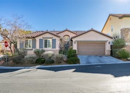 9917 Tradition Creek Avenue - Photo 1