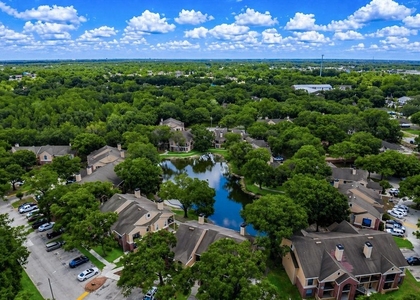 8645 Fancy Finch Drive - Photo 1