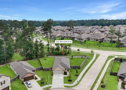 7103 Blue Oak Drive - Photo 1
