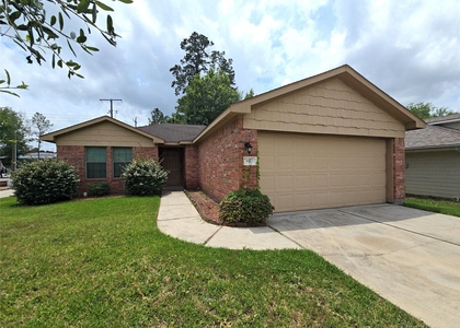 810 Lightningbug Lane - Photo 1