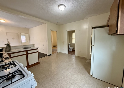 132 Locust Street - Photo 1