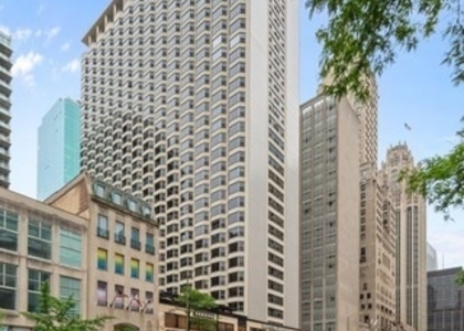 535 N Michigan Avenue - Photo 1