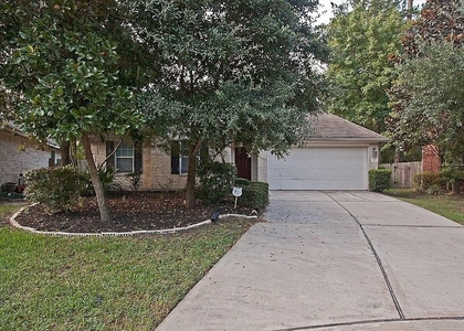 43 Steep Trail Place - Photo 1