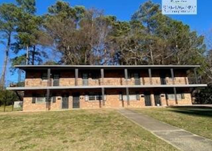4206 S Dowfield Drive - Photo 1