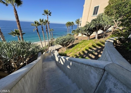 32175 S Coast Highway - Photo 1