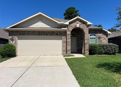 1507 Bella Garden Court - Photo 1