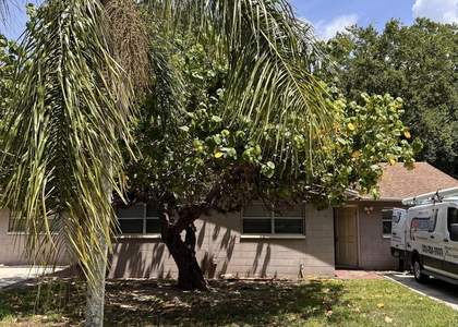 118 Olive Street - Photo 1