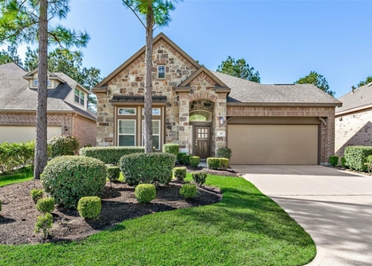 35 E Wolf Cabin Circle - Photo 1
