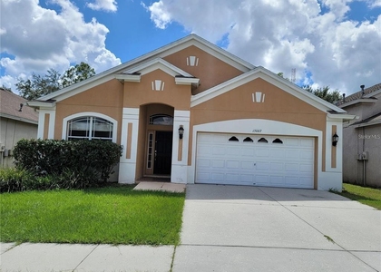 13007 Terrace Springs Drive - Photo 1