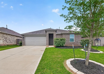40310 Bermuda Ivy Street - Photo 1