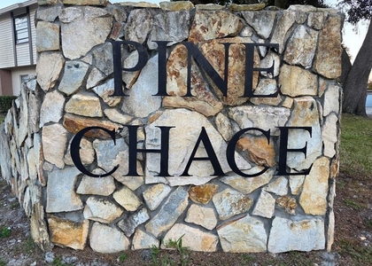 2031 Pine Chace Court - Photo 1