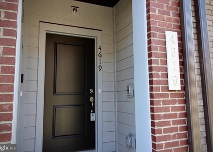 4619 Olivine Drive - Photo 1