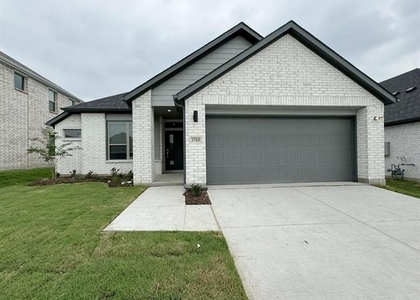 3705 Ray Roberts Drive - Photo 1