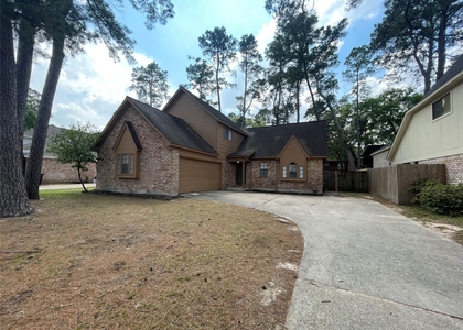 12943 Lemur Lane - Photo 1