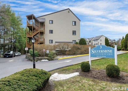 3 Seir Hill Road - Photo 1