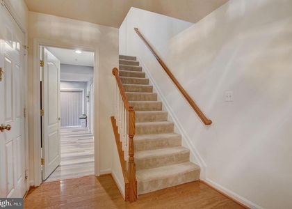 7111 Beissel Court - Photo 1