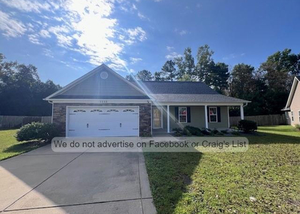 1233 Screech Owl Drive - Photo 1