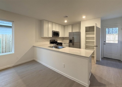 1439 Cactus Rose Drive - Photo 1