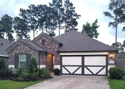338 Honey Mesquite Path - Photo 1