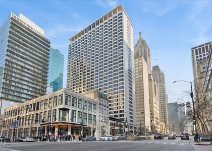 535 N Michigan Avenue - Photo 1