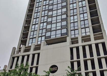 1122 N Clark Street - Photo 1