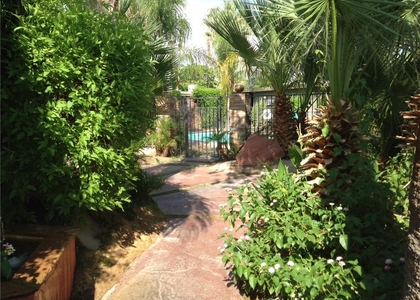 920 E Chuckwalla Road - Photo 1