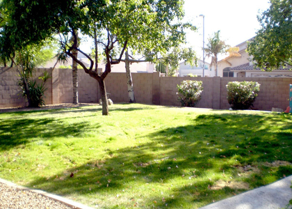 2429 E Patrick Lane - Photo 1