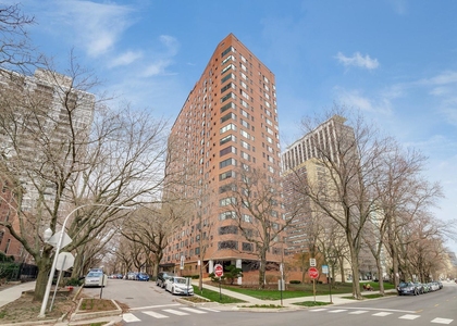 3100 N Lake Shore Drive - Photo 1
