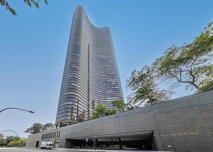 505 N Lake Shore Drive - Photo 1