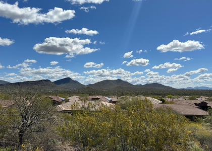 42107 N Mountain Cove Drive - Photo 1