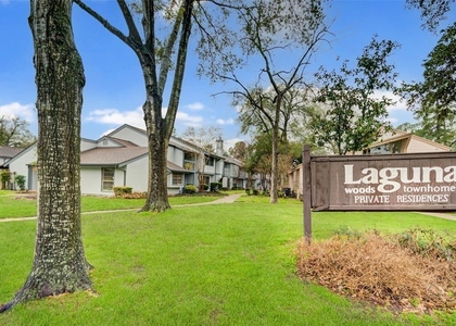 5809 Village Forest Court - Photo 1