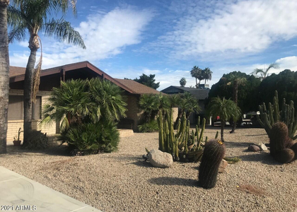 3924 E Yucca Street - Photo 1