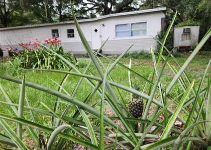 24815 Audrey Road - Photo 1