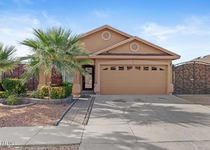 804 Desert Cactus Drive - Photo 1