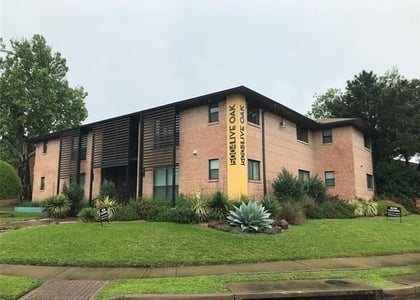 5004 Live Oak Street - Photo 1