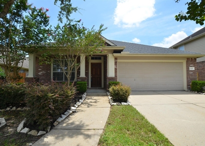 23207 Dewflower Drive - Photo 1