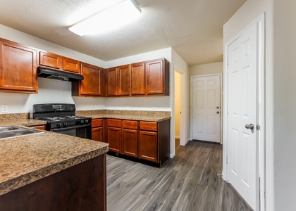 10931 Myrtle Oak Street - Photo 1