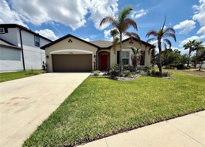13456 Palmera Vista Drive - Photo 1
