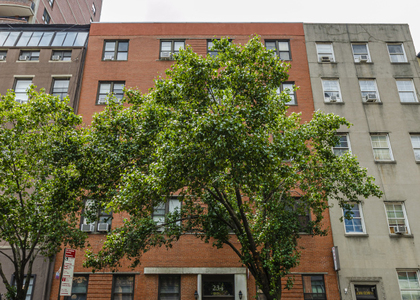 234 w 14th Street  - Photo 1