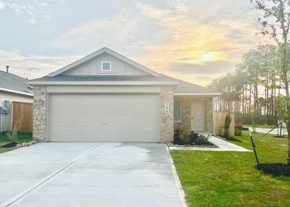 1376 Diamond Carnation Drive - Photo 1