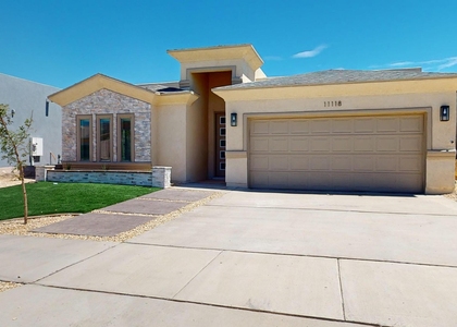 11118 Blue Eyed Grass Street - Photo 1